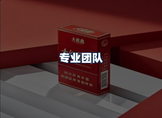 专业团队